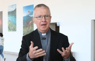 Mons. Danny Meagher, Obispo Auxiliar de Sydney (Australia) Crédito: Eduardo Berdejo - EWTN News