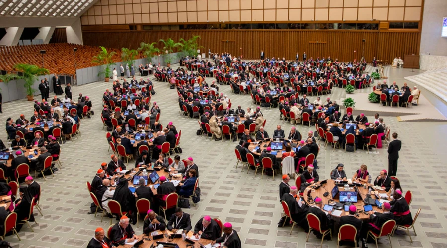 Sínodo de la Sinodalidad 2024: Instrumentum Laboris se publicará a  principios de julio | ACI Prensa