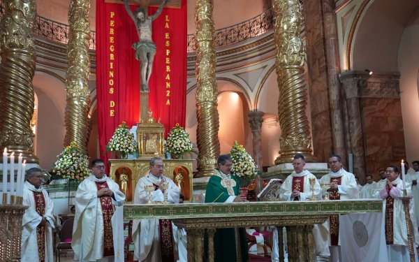 Closing Mass of the 17th National Meeting of Catechists held by Cardinal Luis Gerardo Cabrera. Credit: Radio Católica Cuenca.