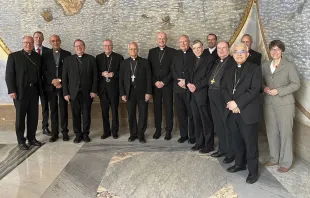 Autoridades del Vaticano y los obispos de Alemania que participaron en el encuentro hoy en Roma- Crédito: Vatican Media
