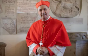 Cardenal Ángel Fernández Artime, décimo sucesor de Don Bosco Crédito: Daniel Ibáñez/ACI Prensa