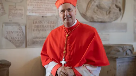 Cardenal Ángel Fernández Artime, décimo sucesor de Don Bosco