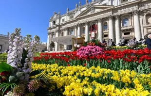 La Plaza de San Pedro adornada con flores de Holanda en una Semana Santa previa. Crédito: Vatican Media.