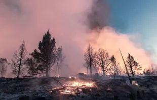 Las secuelas de los incendios forestales en Alberta y los Territorios del Norte, Canadá, 21 de agosto de 2023. Crédito: agilard - Shutterstock