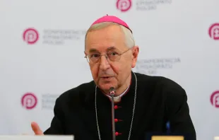 Mons. Stanislaw Gadecki, Arzobispo de Poznan y presidente de la Conferencia Episcopal Polaca Crédito: INM