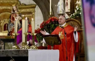 Mons. Antonio Gómez Cantero, Obispo de Almería. Crédito: Diócesis de Almería.