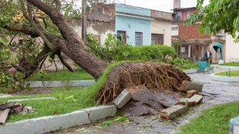 Árboles caídos al suelo, daños por el huracán Irma a su paso por la isla de Cuba, 10 de septiembre de 2017.