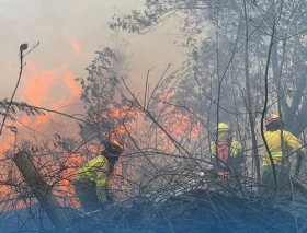 “Quito necesita tu corazón fraterno”: La Iglesia lanza campaña solidaria ante incendios en Ecuador