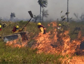 La Iglesia Católica en Bolivia exige acciones concretas ante emergencia por incendios