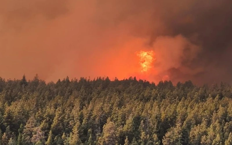 Obispos de la Patagonia llaman a reconstruir y renacer tras los incendios