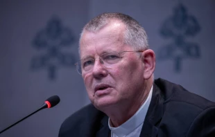 El arzobispo brasileño Jaime Spengler OFM, habla en una sesión informativa sobre la sinodalidad el 8 de octubre de 2024 en el Vaticano. Crédito: Daniel Ibáñez / EWTN News.