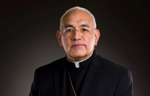 Mons. Joe Vásquez, Arzobispo electo de Galveston-Houston en Texas, EE.UU. Crédito: Arquidiócesis de Galveston-Houston.