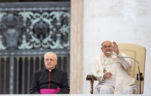 El Papa Francisco en la Audiencia General de este miércoles 20 de noviembre Crédito: Daniel Ibáñez/EWTN News