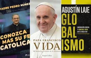 Libros para leer en 2025. Crédito: Portadas