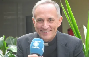 El P. Luis Fernando de Prada, director de Radio María España. Crédito: Radio María España.