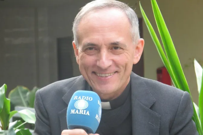 El P. Luis Fernando de Prada, director de Radio María España.