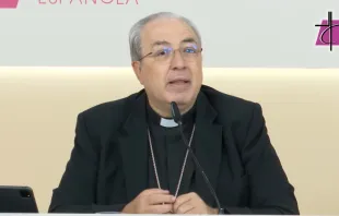 El Obispo auxiliar de Toledo y secretario general de la CEE, Mons. Francisco César García Magán. Crédito: CEE