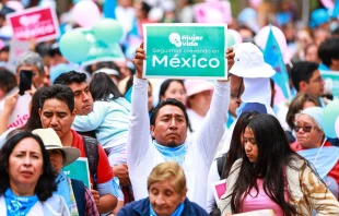 Marcha nacional. Crédito: A favor de la mujer y la vida