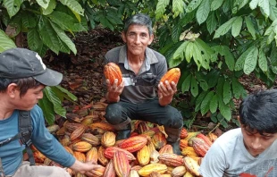 Mauricio Estrada en su fundo en Ucayali, en la Amazonía del Perú Crédito: Cortesía Mauricio Estrada.