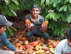 Estuvo en la cárcel por narcotráfico y ahora, “gracias a Dios”, produce cacao de clase mundial