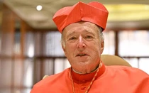 El Cardenal Robert McElroy, en la foto después del consistorio para la creación de 20 nuevos cardenales por parte del Papa, el 27 de agosto de 2022, en el Vaticano, es el nuevo arzobispo de Washington.