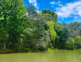 Arzobispo de Cali pide que la COP 16 no sea un evento aislado en el cuidado de la creación