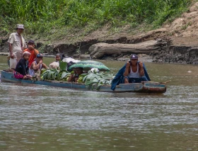 Autoridad vaticana sobre crisis migratoria en el Darién: La cuestión no son los números, hay que responder