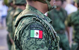 Imagen referencial del Ejército mexicano Crédito: Shutterstock