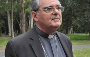 Mons. Oscar Ojea Crédito: Obispado de San Isidro