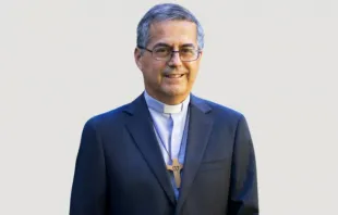 Mons. Sergio Pérez de Arce Crédito: Arzobispado de Concepción