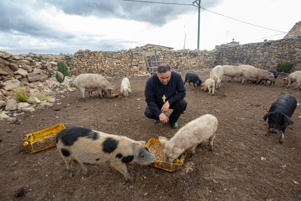 Mons. Giovanni Cefai ayudando con la alimentación de los animales de granja. Crédito: Cortesía de Prelatura de Huancané