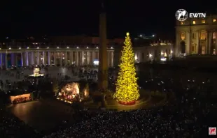 El nacimiento y el árbol de Navidad en la Plaza de San Pedro en el Vaticano. Crédito: EWTN