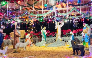 Nacimiento de Jesús en la Basílica de Guadalupe. Crédito: EWTN Noticias