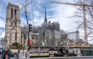 Catedral de Notre Dame de París, 3 de agosto de 2024. Crédito: Franck Legros - Shutterstock