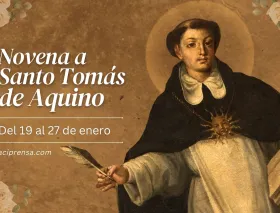 Today begins the novena to Saint Thomas Aquinas, patron of Catholic education