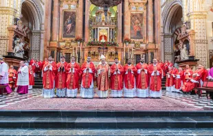 Los 8 nuevos sacerdotes de Córdoba, ordenados el 29 de junio, Solemnidad de San Pedro y San Pablo. Crédito: Diócesis de Córdoba