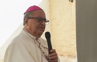 El Papa Francisco aceptó la renuncia del Obispo Auxiliar de Santo Domingo, Mons. Ramón Benito Ángeles Fernández. Crédito: Arquidiócesis de Santo Domingo