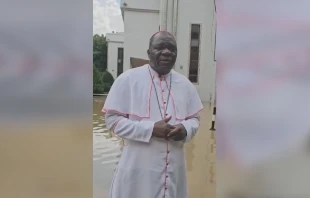 Mons. John Bakeni, Obispo Auxiliar de Maiduguri, en medio de las inundaciones. Crédito: ACN.