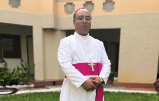 Mons. Arokia Raj Satis Kumar, obispo auxiliar electo de Bangalore, el prelado más joven de la India. Crédito: Archdiocese of Bangalore.