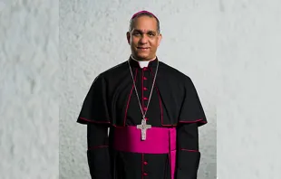 Mons. Héctor Rafael Rodríguez Rodríguez Crédito: Conferencia del Episcopado Dominicano