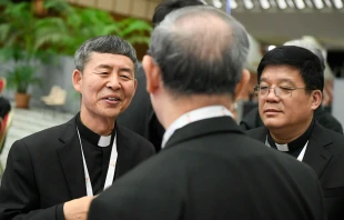 El Obispo Yao Shun de Jining y el Obispo Yang Yongqiang de Zhouchun (derecha) de la República Popular China, en el Vaticano durante el Sínodo de la Sinodalidad en octubre de 2023. Crédito: Vatican Media.