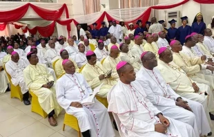 Miembros de la Conferencia Episcopal de Nigeria (CBCN). Los obispos emitieron una declaración el 15 de agosto de 2024, Solemnidad de la Asunción, en la que condenan los abusos durante la Misa e instan a los sacerdotes a tomar medidas. Crédito: Arquidiócesis de Abuja.