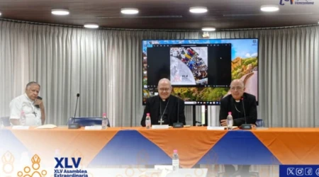 CEV Asamblea Extraordinaria