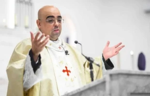 El P. José Eduardo de Oliveira e Silva es sacerdote de la Diócesis de Osasco, São Paulo. Crédito: Instagram / P. José Eduardo.