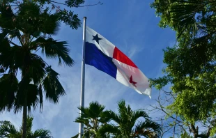 Imagen referencial de la bandera de Panamá. Crédito: olivia.ottendorfer600045 / Vecteezy