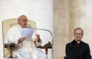 El Papa Francisco se dirige a los fieles congregados en la Plaza de San Pedro durante una audiencia general. Crédito: Daniel Ibáñez / EWTN News.