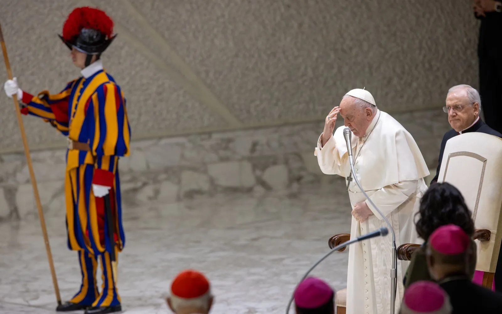 Complete catechesis of Pope Francis: sadness