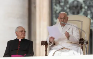 El Papa Francisco imparte su catequesis durante la Audiencia General Crédito: Vatican Media
