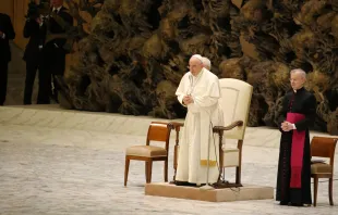 El Papa Francisco en la Audiencia General de este miércoles ACI Prensa