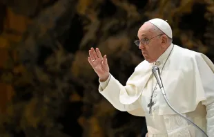 Imagen del Papa Francisco durante una Audiencia General Crédito: Vatican Media